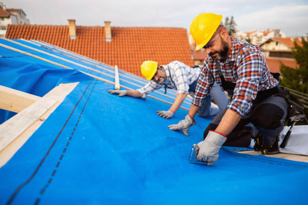 Best Green or Eco-Friendly Roofing Solutions  in Bassett, VA